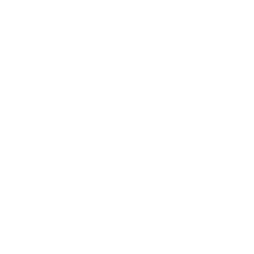 Mountainfilm logo